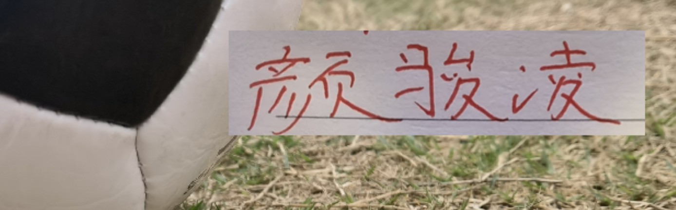 开云登录网址入口-虽然被喀麦隆上课！但中超豪门球员发挥也给力 颜骏凌多次有神扑