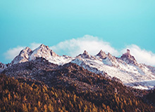 Kaiyun：云端驱动的商业新纪元